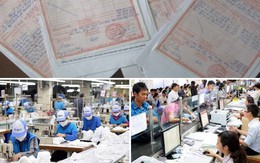 Chính sách mới có hiệu lực từ tháng 6/2025