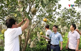 Nhân rộng điển hình hộ nông dân sản xuất, kinh doanh giỏi