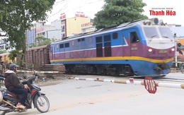 Cần xử lý nghiêm hành vi vi phạm tín hiệu đường sắt