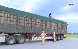 Tăng cường kiểm soát tải trọng tại huyện Nông Cống