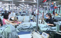 Các doanh nghiệp xuất khẩu đẩy mạnh tìm kiếm thị trường