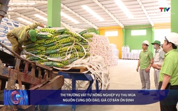 Bản tin Tài chính - Thị trường 20/6/2025