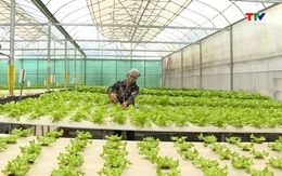 Mở rộng hỗ trợ nông nghiệp hữu cơ, công nghệ cao từ 1/7