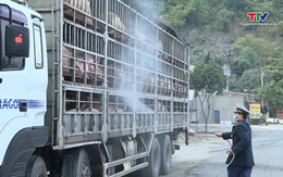Tập trung triển khai quyết liệt các biện pháp phòng, chống dịch tả lợn châu Phi