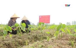Thanh Hóa phát triển nguồn nhân lực nghiên cứu khoa học