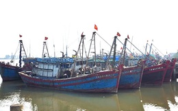 Chủ động ứng phó với áp thấp nhiệt đới