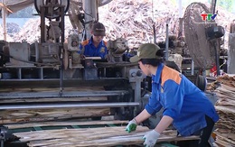 Thúc đẩy xuất khẩu sản phẩm gỗ sang các thị trường