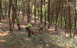 Dự báo và thông tin cấp dự báo cháy rừng đến ngày 08/6/2025