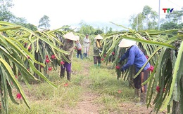 EU sắp thanh tra một số nông sản xuất khẩu quan trọng
