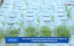 Bản tin Số và công nghệ ngày 4/6/2025