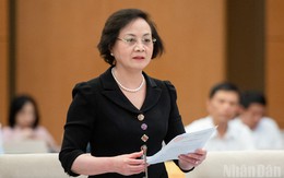 Chính phủ trình Đề án sắp xếp đơn vị hành chính cấp tỉnh năm 2025
