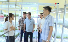 Ứng dụng công nghệ nuôi cấy mô sản xuất giống cây