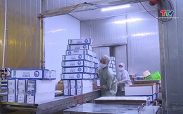 Xuất nhập khẩu tích cực, thu ngân sách tăng mạnh