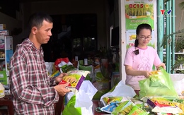 Giống chất lượng cao - yếu tố quyết định năng suất vụ mùa
