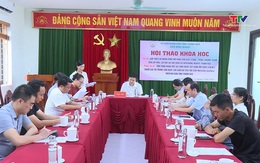 Phát triển chuỗi giá trị trong sản xuất, chế biến và tiêu thụ sen