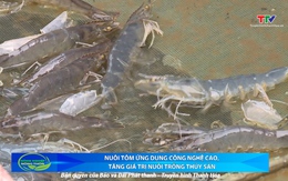 Bản tin Nông nghiệp nông thôn ngày 12/7/2025