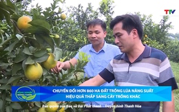 Bản tin Nông nghiệp nông thôn ngày 16/7/2025