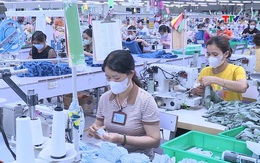 Thu nhập bình quân người lao động 6 tháng đầu năm đạt 8,3 triệu đồng