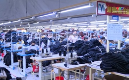 Hơn 30% doanh nghiệp xuất khẩu dự báo tăng đơn hàng trong quý 3/2025