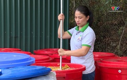 Ứng dụng công nghệ sinh học, phát triển nông nghiệp an toàn