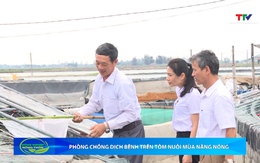 Bản tin Nông nghiệp – Nông thôn ngày 2/7/2025