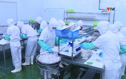 Giá trị hàng hoá thuỷ sản xuất khẩu đạt hơn 49,1 triệu USD