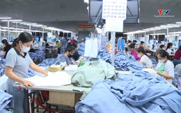 Các doanh nghiệp chủ động ứng phó với biến động thương mại