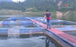 Hơn 15.600 hộ dân được vay vốn chương trình sản xuất, kinh doanh tại vùng khó khăn