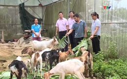 Nâng cao hiệu quả của tín dụng chính sách xã hội trong giai đoạn mới