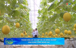 Bản tin Nông nghiệp – Nông thôn 26/7/2025