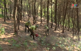 Thông tin cấp dự báo cháy rừng từ ngày 30/7 - 03/8/2025