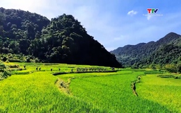 Những “điểm đến xanh” giữa ngày hè oi bức
