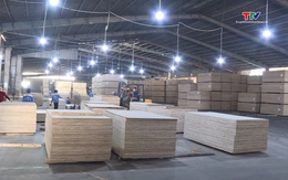 Đảm bảo sức khỏe người lao động trong mùa hè 