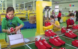 Yêu cầu hoàn tất chuẩn hóa thủ tục xuất khẩu trước ngày 31/7