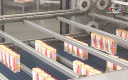 Sản lượng sữa tươi toàn tỉnh đạt 38.500 tấn