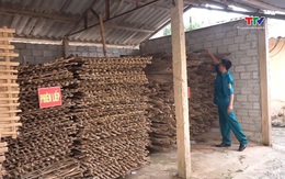 Xã Kim Tân: Kiểm tra rà soát công trình phòng chống lũ lụt