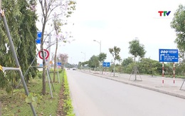 Cục Đường bộ yêu cầu tăng cường đảm bảo an toàn giao thông