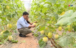 Ứng dụng khoa học kỹ thuật, nâng cao giá trị cây trồng