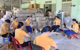 Hiệu quả hoạt động của Quỹ hỗ trợ phát triển hợp tác xã Thanh Hóa
