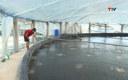 Sản lượng thuỷ sản của Thanh Hóa đạt trên 128.000 tấn