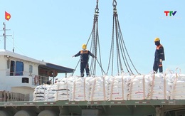 Phấn đấu tăng trưởng xuất khẩu năm 2025 đạt 12%