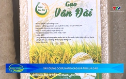 Bản tin Nông nghiệp nông thôn ngày 2/8/2025