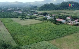 Đề xuất sửa đổi nhiều quy định về bảng giá đất