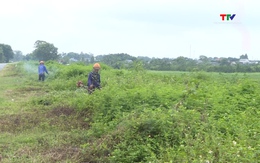 Phát quang mái đê, kịp thời phát hiện ẩn hoạ trong thân đê