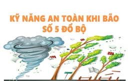 [Infographic] Kỹ năng an toàn khi bão số 5 đổ bộ