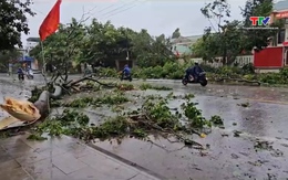 Ảnh hưởng của bão số 5 tại phường Sầm Sơn