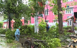 Ảnh hưởng của bão số 5 tại phường Sầm Sơn
