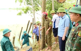 Chủ tịch UBND tỉnh chỉ đạo khắc phục sự cố đê tại xã Triệu Sơn