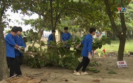Đoàn Thanh niên phường Sầm Sơn ra quân làm sạch biển sau bão