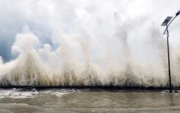 Bão vào đất liền ngày 30/8, Bộ Nông nghiệp và Môi trường ra công điện khẩn